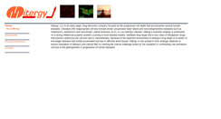 Desktop Screenshot of mitergy.com